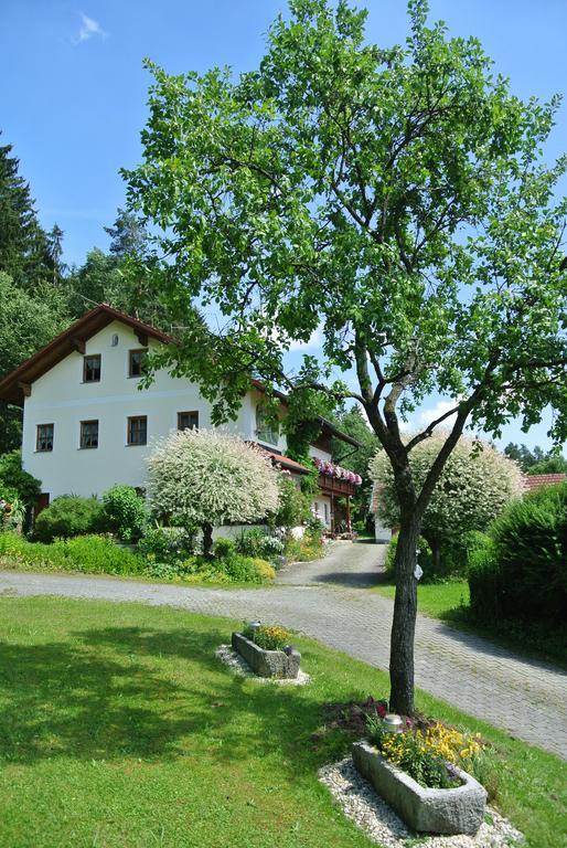 Haus Am Waldrand - Ferienwohnung Augustin Ґрафенау Екстер'єр фото